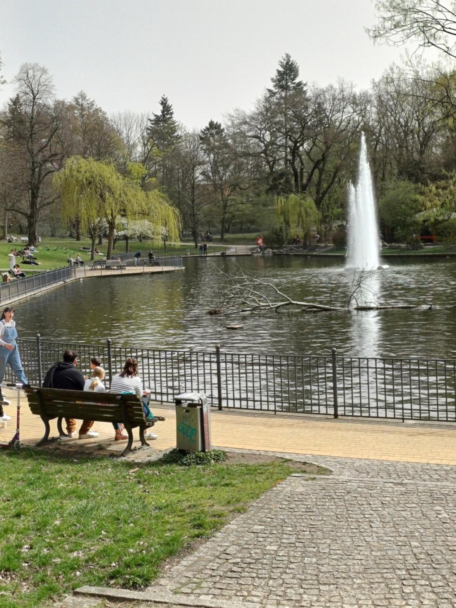 Suite Park & City Alex 4 Rooms 2 Bathrooms 2 Kitchen Berlin Dış mekan fotoğraf